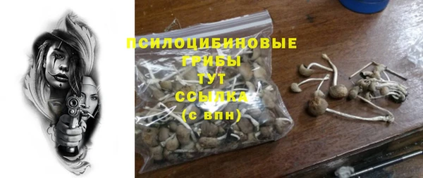 МДПВ Абинск