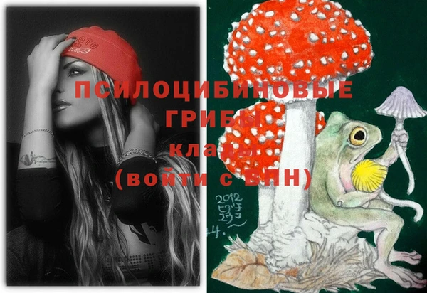 МДПВ Абинск